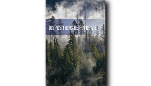 Disposition de fin de vie