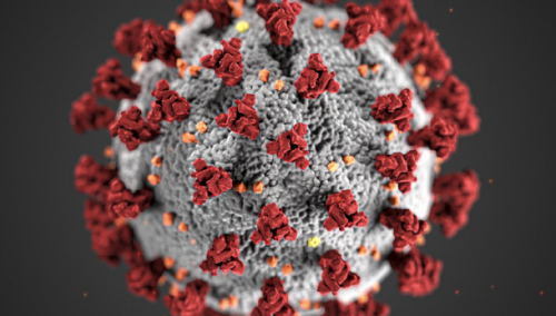 Rubrique dédiée à l'actualité du coronavirus en lien avec le cancer
