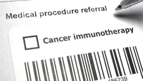 L'immunothérapie du cancer du sein
