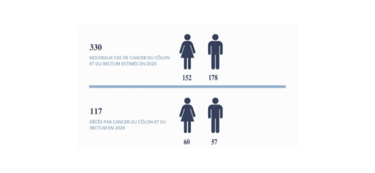 Statistiques Cancer colorectal 