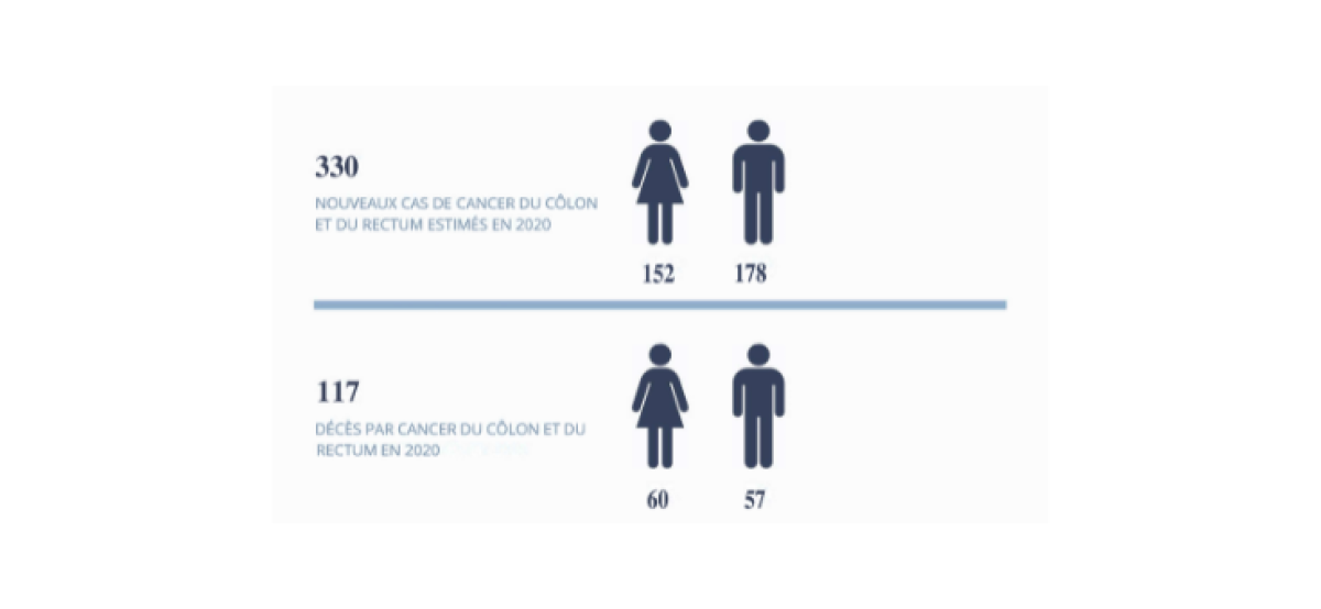 Statistiques Cancer colorectal
