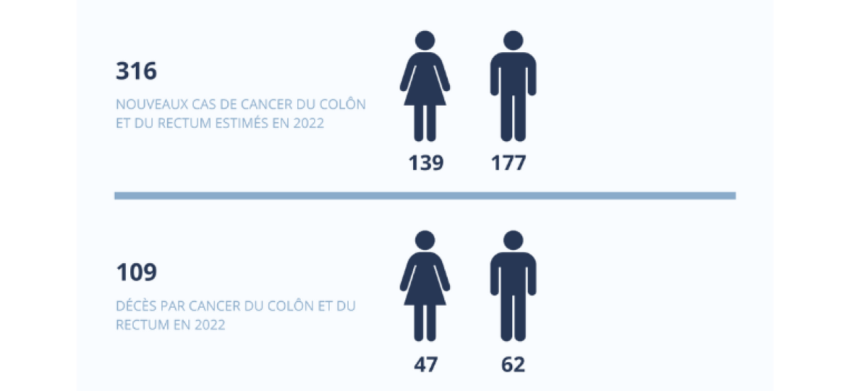 Statistiques cancer colorectal 2022