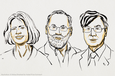 Prix Nobel 2025