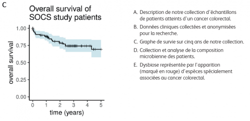 Comprendre le rôle du microbiome dans le cancer colorectal - La composition du microbiome 2