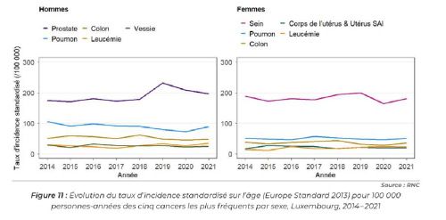 Graphique montrant l'évolution du taux d’incidence standardisé sur l’âge