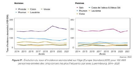 graphique montrant l’évolution du taux d’incidence standardisé sur l’âge